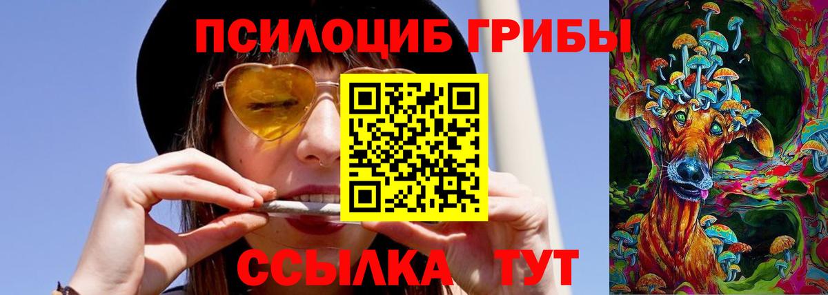 Псилоцибиновые грибы мухоморы Щёлково
