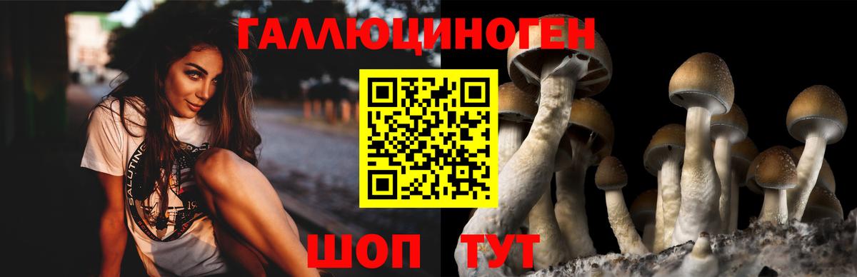 Щёлково  магазин    Вход с VPN  Псилоцибиновые грибы мицелий 